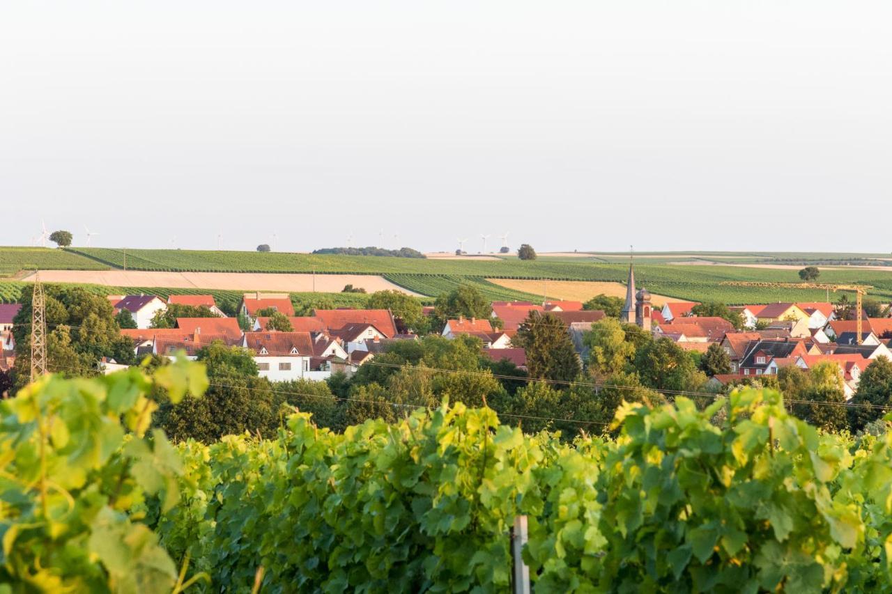 Weingut Und Gaestehaus Henrici Friesenheim is an Ortsgemeinde 外观 照片